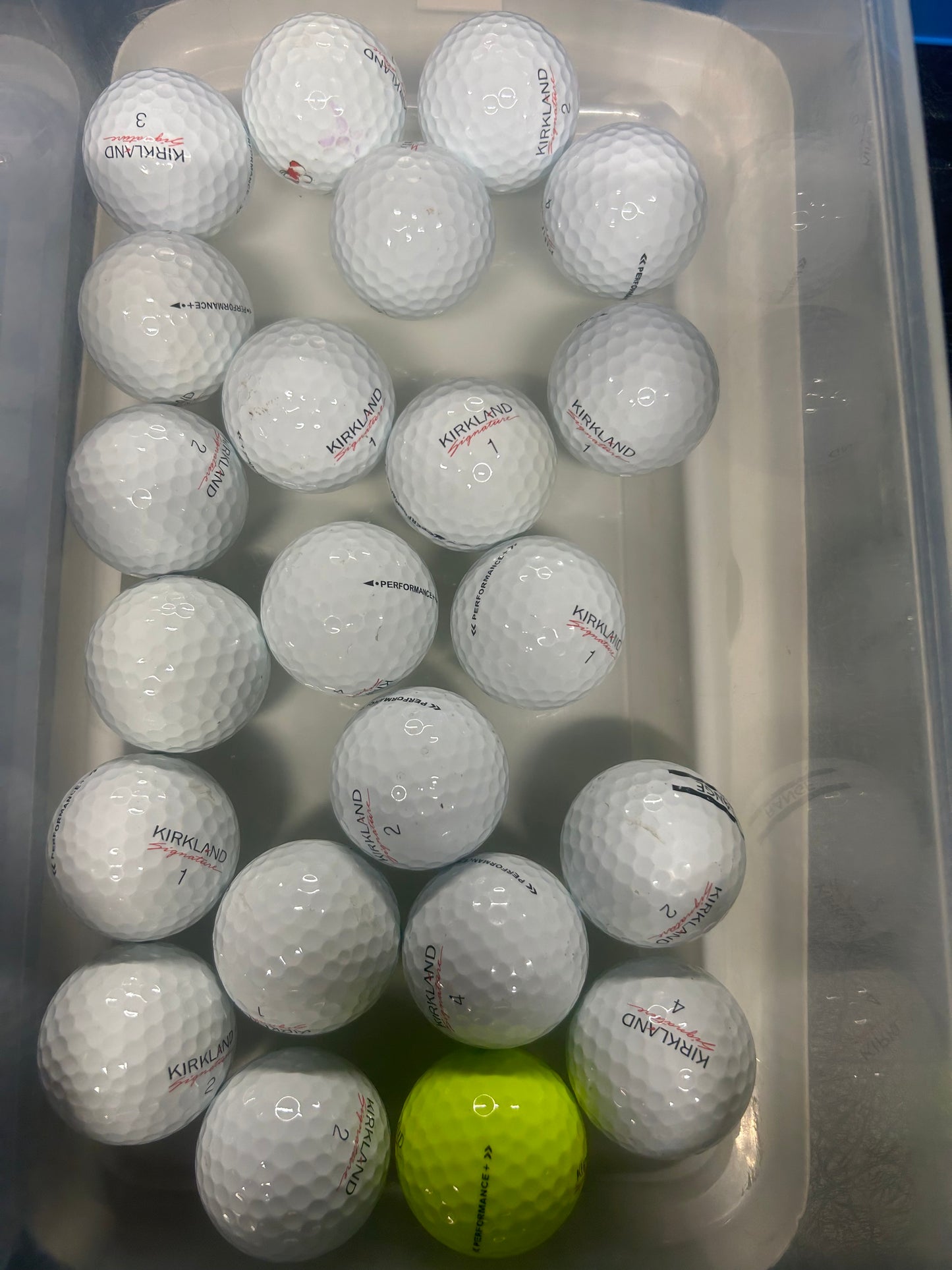 Used Kirkland Performance Golf Balls (dozen)